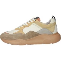 Blackstone Sneakers TG43 COCONUT NOCE - LOW CHUNKY SNEAKER Beige 8 Blackstone Sneakers TG43 COCONUT NOCE - LOW CHUNKY SNEAKER Beige -Blackstone Winkel 8ccec74edc6b83c26f3860b305b42a1e