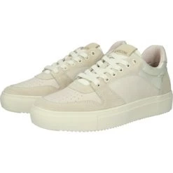 Blackstone Sneakers XW41 BEIGE - LOW SNEAKER Beige