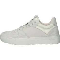 Blackstone Sneakers XW41 ANTARCTICA - LOW SNEAKER Gray